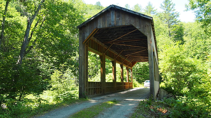 Bridge, trä, skogen, Vermont, USA