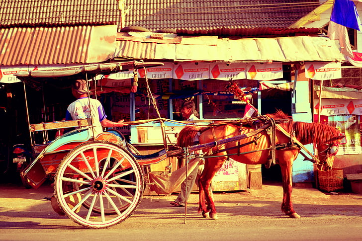 hest vogn, hest, landlig, gamle, historiske, transport, tradisjonelle
