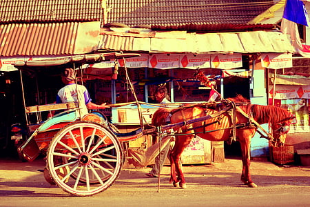 hästskjuts, häst, landsbygdens, antika, historiska, transport, traditionella