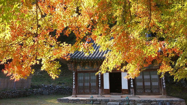 herfst, magoksa, natuur, traditionele architectuur, Korea