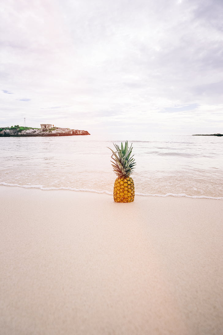 beach, coast, fruit, ocean, pineapple, sand, sea