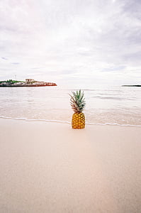 pineapple, near, seashore, ocean, sea, fruiting, coasting