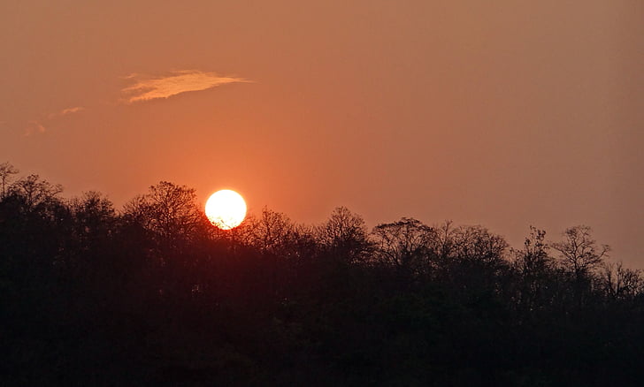 solnedgång, glöd, skogen, tattihallia, Karnataka, Indien