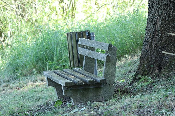 bank, bench, nature, trees, green, out, sit