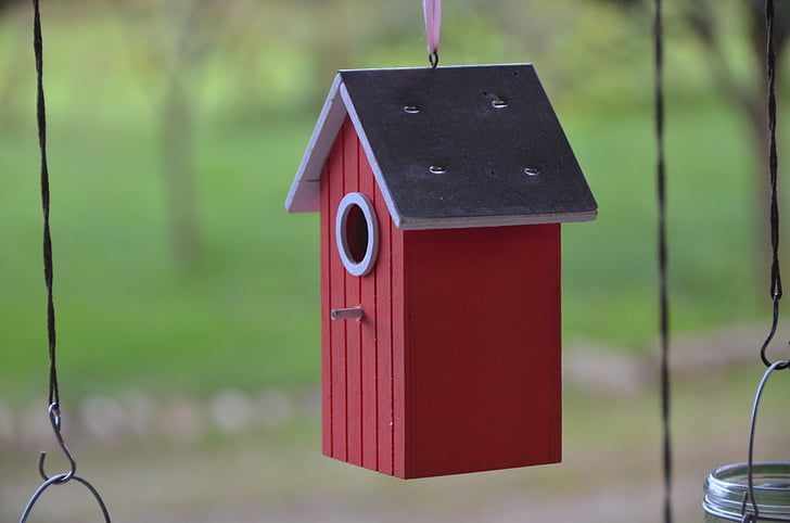 birdhouse, house birds, cottage