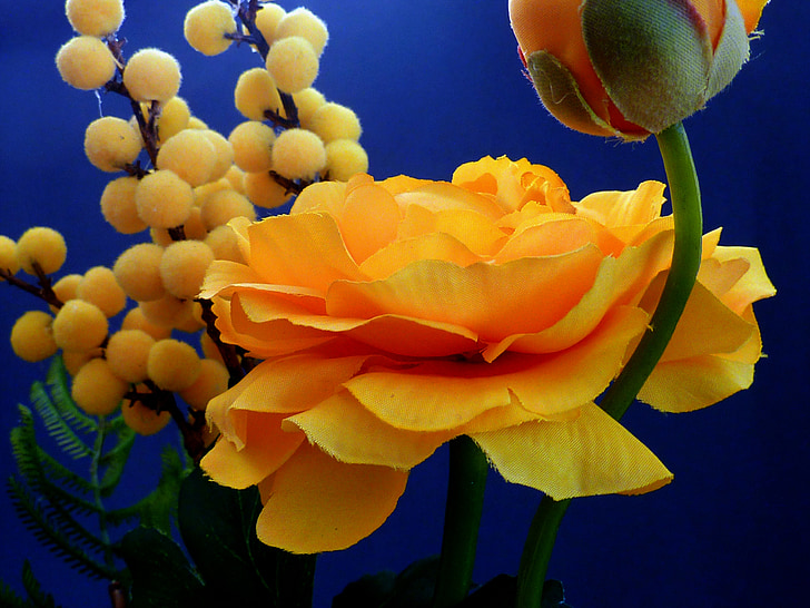 flores artificiales, Ranúnculo, amarillo, primavera, flor, floración, macro