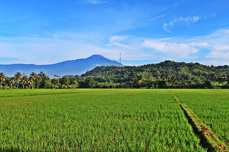 mount, field, view, nature, cloud, the sky, blue