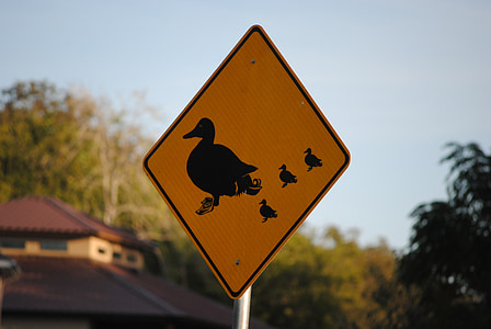 signo de, símbolo, pato, animal, icono, pájaro, diseño