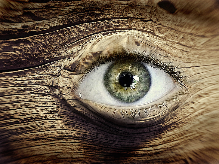 ojo, madera, Knothole, ojo de madera, marrón, estructura de madera, reloj