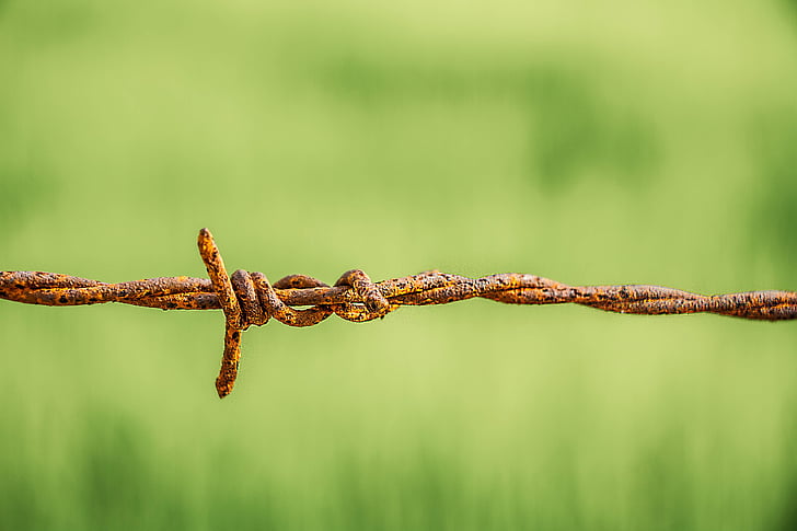 barbed wire, rust, old