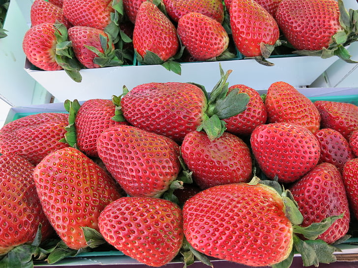 fraises, fruits, rouge, fraise, alimentaire, Berry, en bonne santé