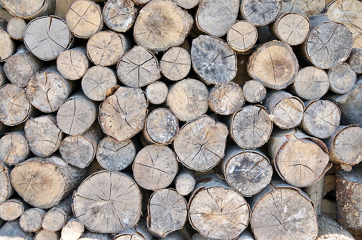 kayu, tumpukan, kayu bakar, alam, pohon, shock