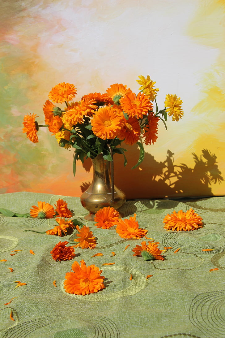 buket, cvijet vaza, cvijeće, šarene, vaza, narančasta, mrtva priroda