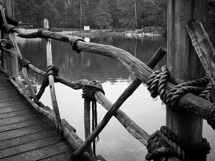 мотузка, міст, води, озеро, парк, чорно-біла, подання