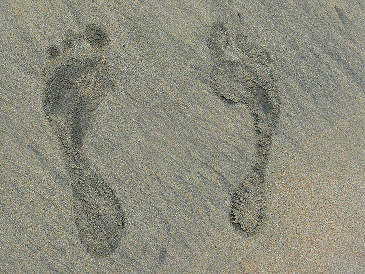 jalka, tulostaa, Sand, Beach, Dominican, tasavalta, eksoottinen
