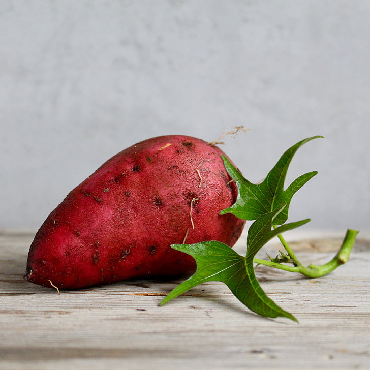 sweet potato, food, vegetable, yam, healthy, root, organic