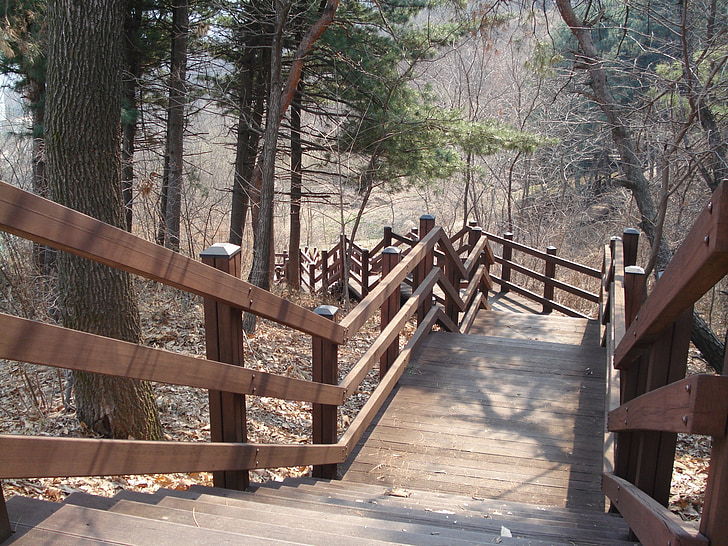 Park, lépcsők, fa, séta