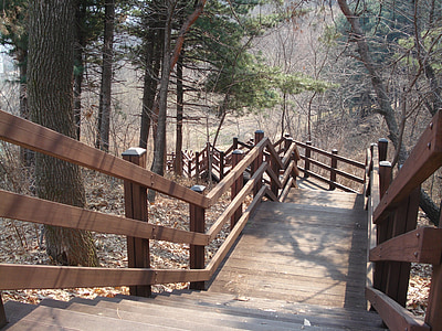 Park, trepid, puit, jalutuskäigu