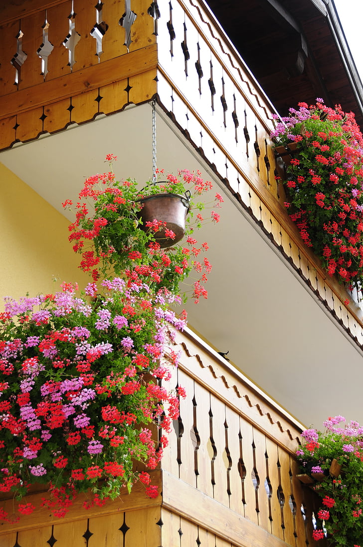 fleurs, balcon, bois