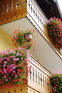 bloemen, balkon, hout