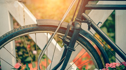 bicycle, vintage, summer, flower, garden, background, summertime