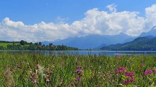 Lac weissensee, Lac, eaux, baumier, roseau, Sky, blanc bleu