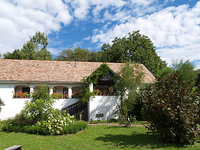 village, country house, blue sky, green grass, cloud, building, flower