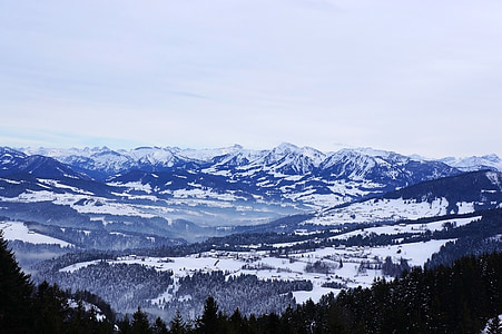 планински, Чудесно, Швейцария, Австрия, зимни, сняг, Pfänder