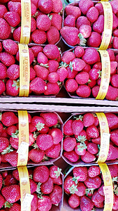 κόκκινο, φράουλες, τροφίμων, μούρο, φρούτα, φράουλα, ώριμα