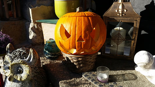 halloween, pumpkin, october, autumn, orange, harvest, thanksgiving