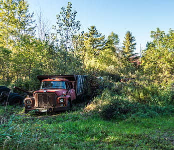 truck, rustic, rural, countryside, old, antique, transportation