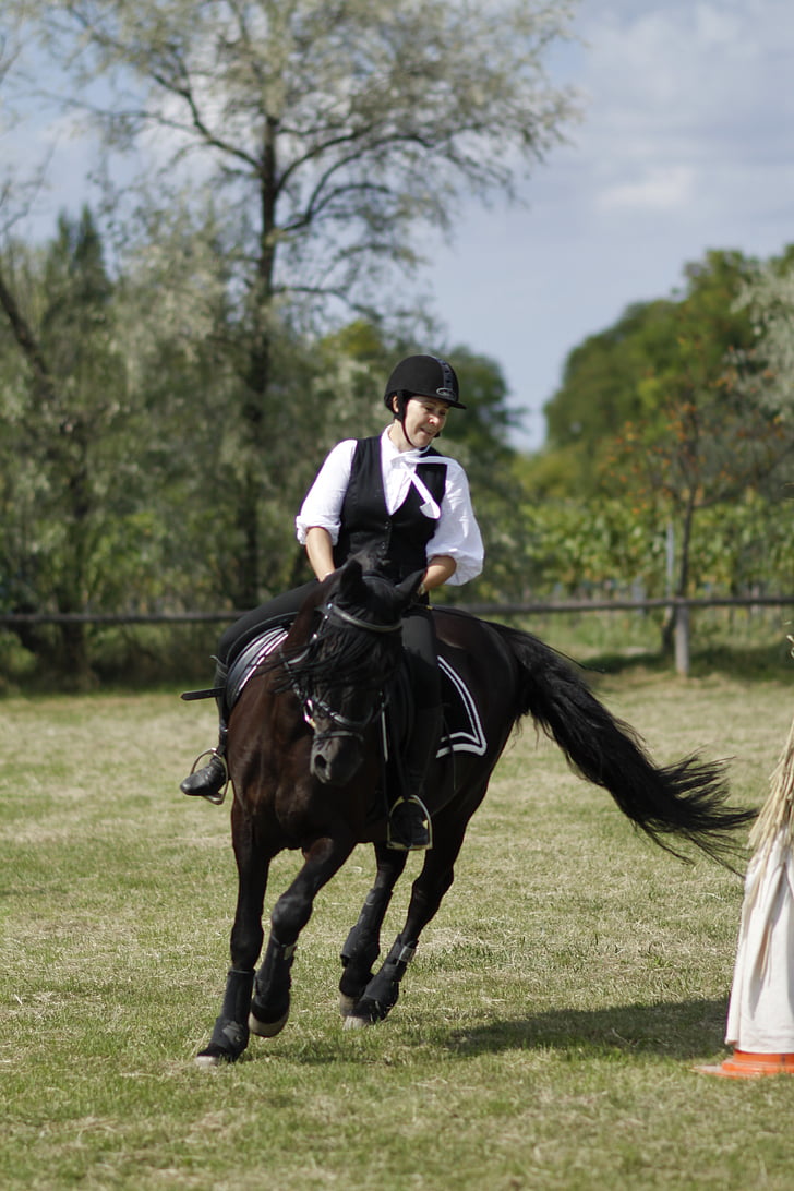 ride, equestrian, dressage, woman, horse, sport