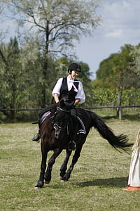 ride, Equestrian, dressur, kvinde, hest, Sport