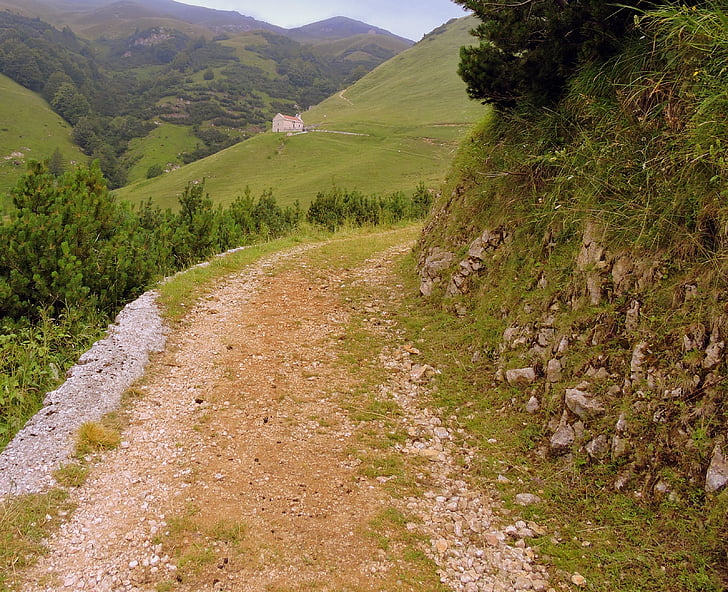 Trail, vandring, Mountain, promenad, Veneto, Italien, val fraselle