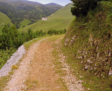 đường mòn, đi bộ đường dài, núi, đi bộ, Veneto, ý, Val fraselle