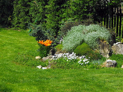 garden, skalka, flowers, grass, decoration