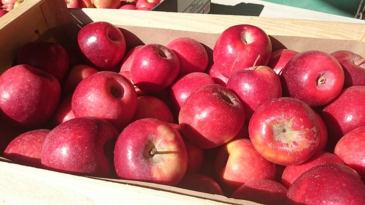 แอปเปิ้ล, สีแดง, พลังงาน, ผลไม้, ออร์ชาร์ด, สวน, แอปเปิ้ลสีแดง