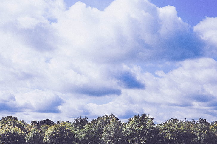clouds, sky, forest, weather