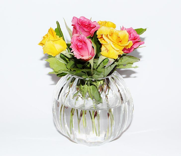 vase, crystal vase, roses, yellow, pink, garden, flowers