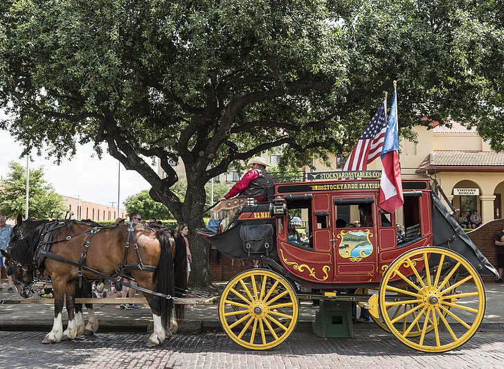 stagecoach, horses, western, cowboys, team, tourists, driver