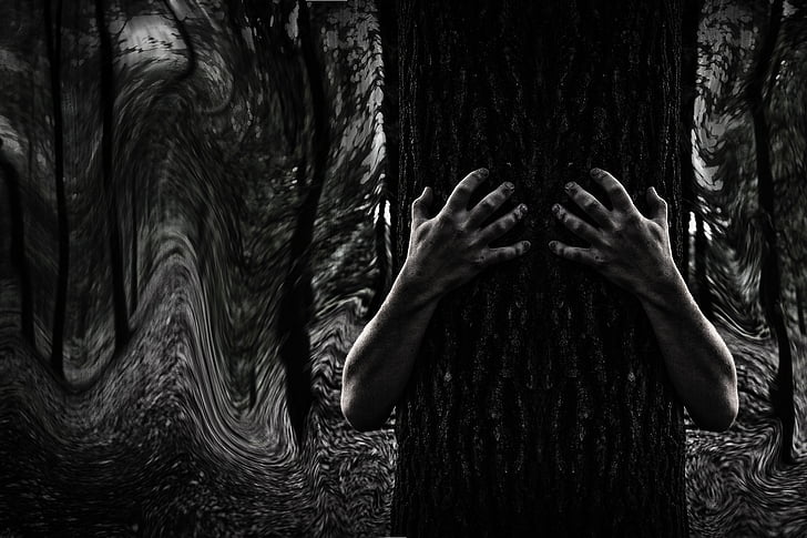 tamno, misterij, šuma, horor, iz snova, na otvorenom, drvo