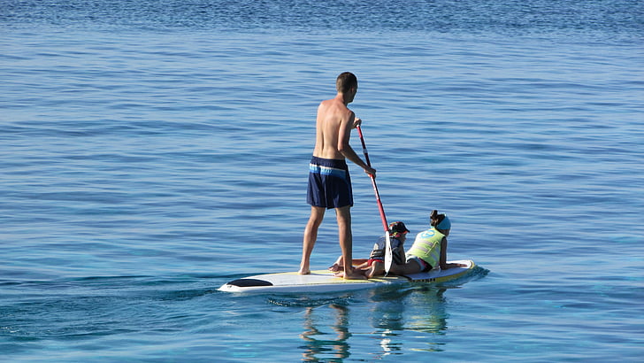 paddle, surfboard, vacation, paddleboarding, leisure, holidays