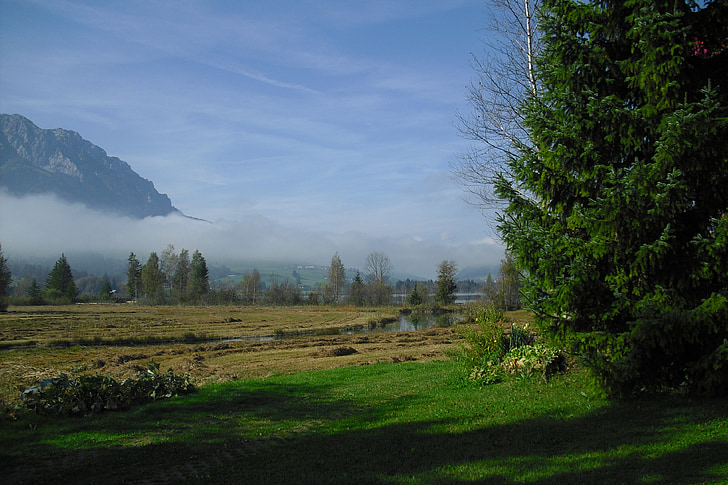 krajobraz, jesień, mgła, Austria, Walchsee, nad jeziorem walchsee, drzewo