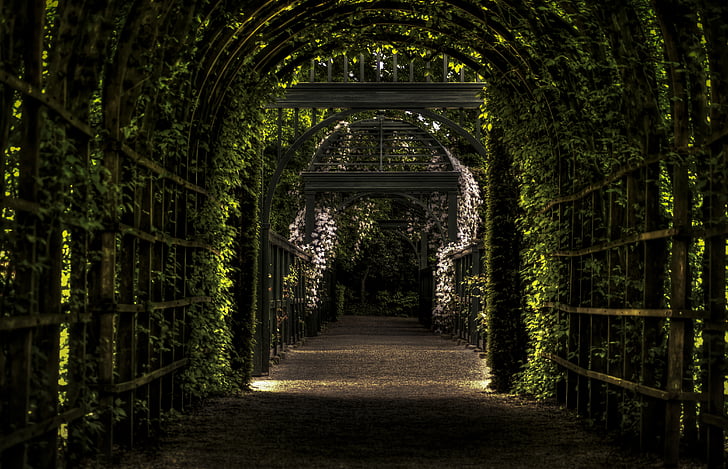jardim, porta de entrada, Groningen, Países Baixos, Palácio, Parque, caminho