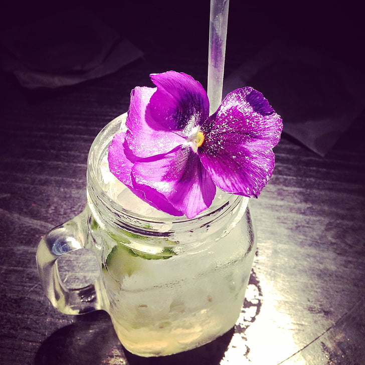 cocktail, floare, băutură, alcool, frumos