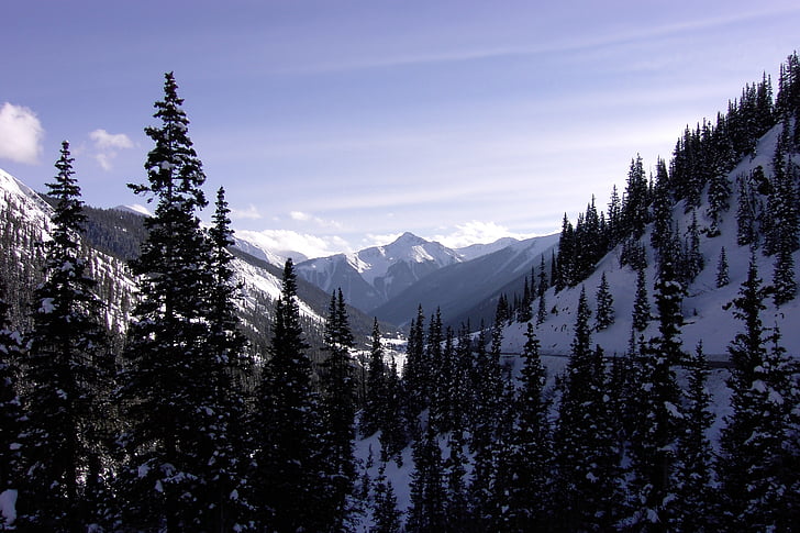 bergen, Colorado, vinter, snö, skogen, vacker natur