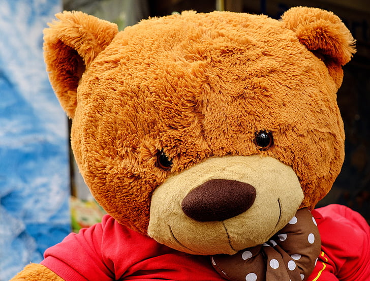 teddy bear, soft toy, toys, portrait