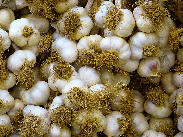 garlic, white, food