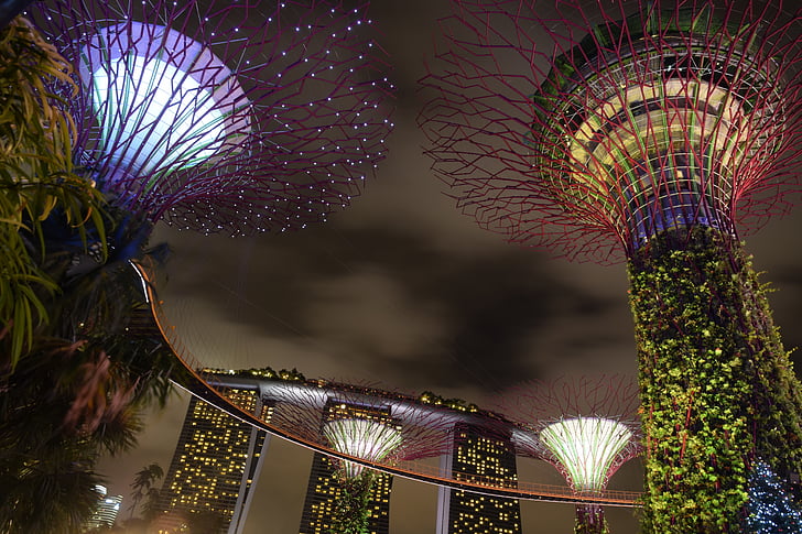supertree, Singapur, vrt po zaljevu