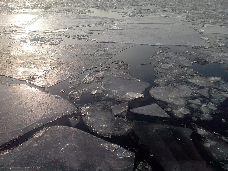 ice floes, sun, nature